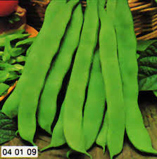 FAGIOLO MARCONI NANO SEME BIANCO GR.200